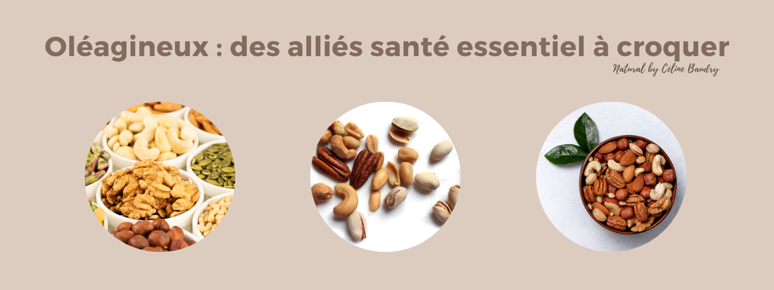 Oléagineux : des alliés santé essentiels à croquer