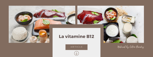 La vitamine B12 ou cobalamine