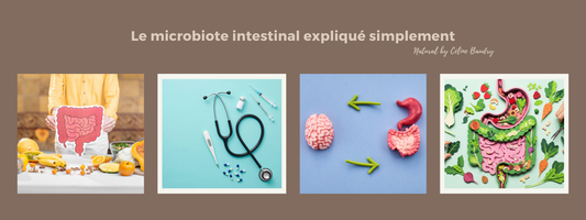 Le microbiote intestinal expliqué simplement