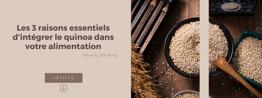 Les 3 raisons essentiels d’intégrer le quinoa dans votre alimentation