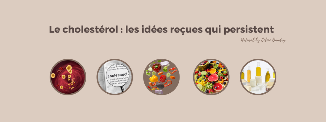 Le cholestérol : les idées reçues qui persistent