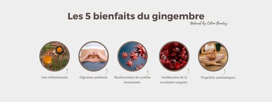 Les 5 bienfaits du gingembre