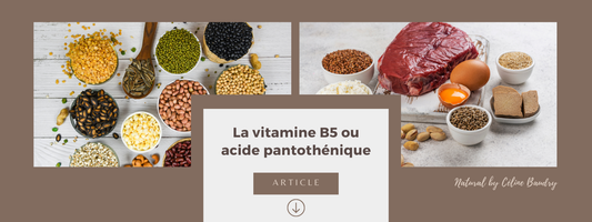 La vitamine B5 ou acide pantothénique